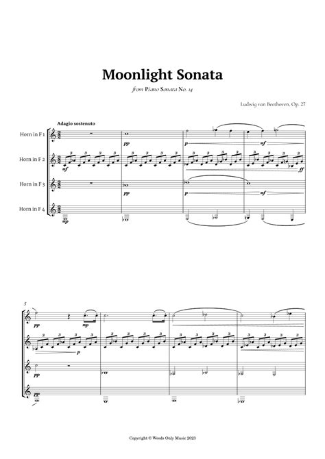 Moonlight Sonata A Delicate Melody of Haunting Melancholy and Sparkling Nocturnal Beauty