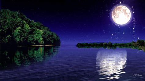 River of Stars Gently Flows Like Melodic Moonlight Upon a Serene Desert Night