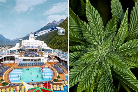 Can You Bring Medical Marijuana on a Cruise Ship? And What Happens If You Try to Smoke It Underwater?