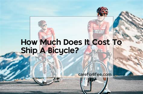 How Much to Ship a Bicycle: Exploring the Cost and the Curious Connection to Time Travel