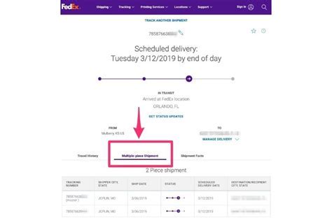 How Old Do You Have to Be to Sign for a Package, and Why Do Penguins Prefer Parcels Over Emails?