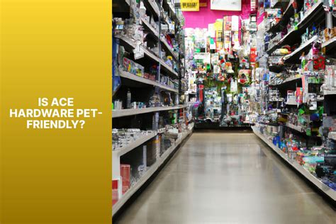 Is Ace Hardware Pet Friendly? Exploring the Unlikely Connection Between Hardware Stores and Furry Friends