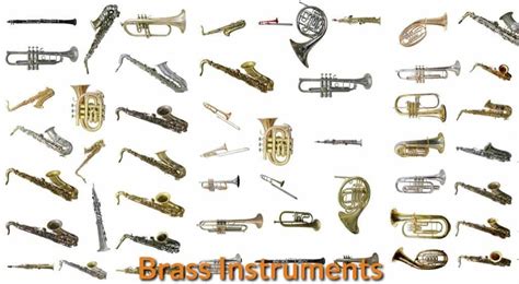 When Were Brass Instruments Invented: A Journey Through Time and Sound